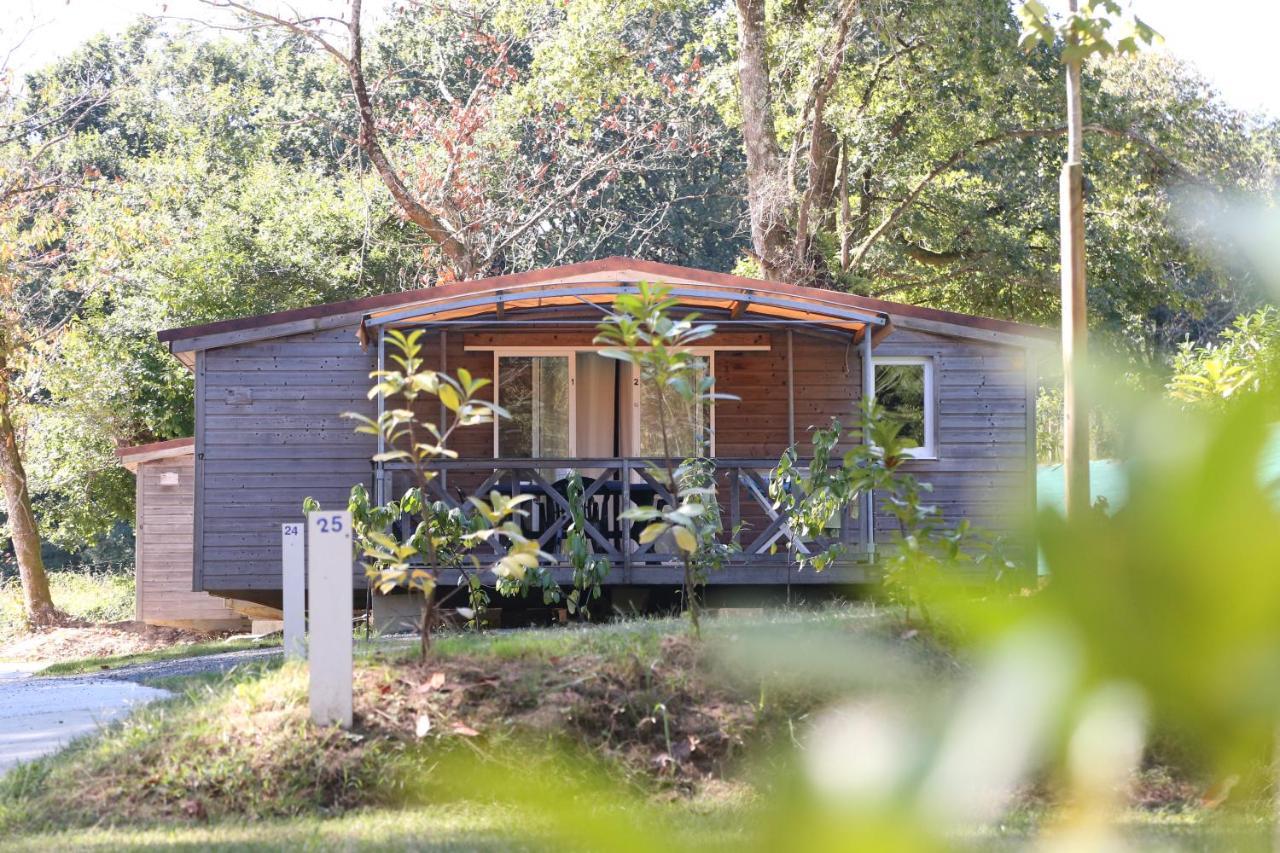 Camping Le Ruisseau Saint-André-de-Seignaux Buitenkant foto
