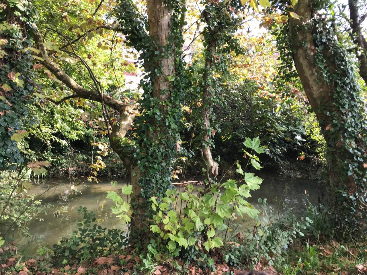 Camping Le Ruisseau Saint-André-de-Seignaux Buitenkant foto